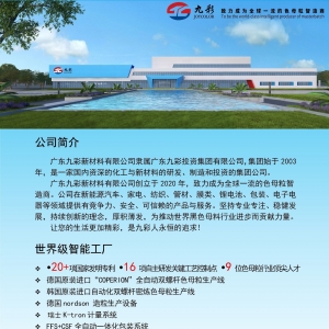 广东九彩新材料有限公司